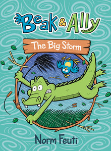 Beak & Ally #3: The Big Storm: A Graphic Novel