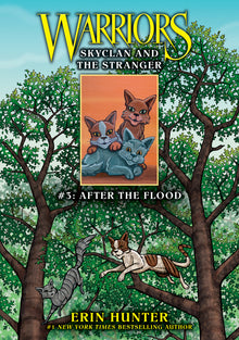 Skyclan and the Stranger #3: After the Flood: After the Flood
