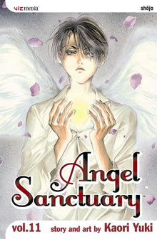 Angel Sanctuary, Vol. 11: Impenitence of the Damned