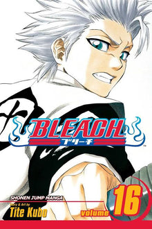 Bleach, Vol. 16: Knight of Wijnruit