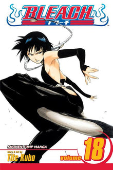 Bleach, Vol. 18: The Deathberry Returns