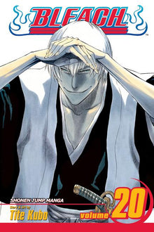 Bleach, Vol. 20: End of Hypnosis