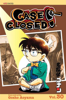 Case Closed, Vol. 30: The Kaito Game