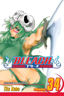 Bleach, Vol. 34: King of the Kill