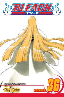 Bleach, Vol. 36: Turn Back the Pendulum