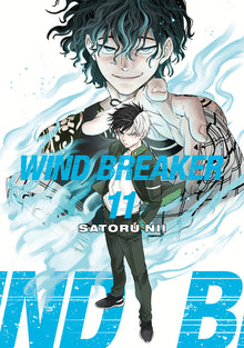 Wind Breaker 11
