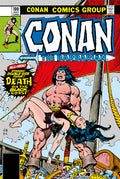 Conan the Barbarian: The Original Comics Omnibus Vol.4