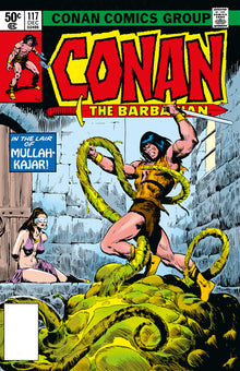 Conan the Barbarian: The Original Comics Omnibus Vol.5