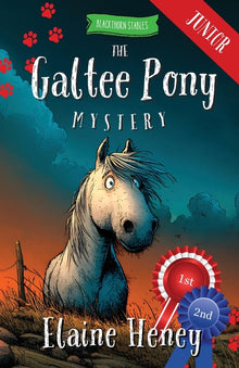 The Galtee Pony Mystery - Blackthorn Stables Junior