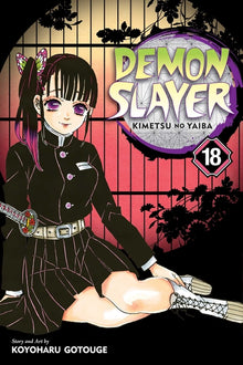 Demon Slayer: Kimetsu No Yaiba, Vol. 18: Assaulted by Memories