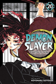 Demon Slayer: Kimetsu No Yaiba, Vol. 20: The Path of Opening a Steadfast Heart