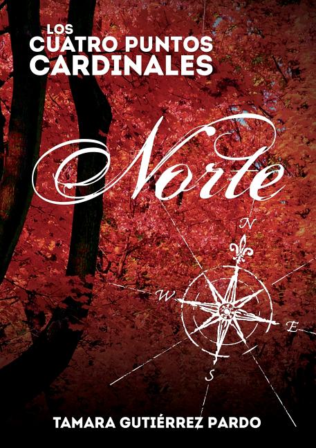 Los Cuatro Puntos Cardinales. Norte (1a novela de la saga)