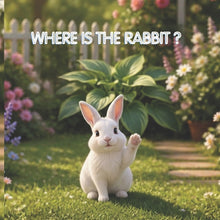 Where Is the Rabbit ?: Kids story book