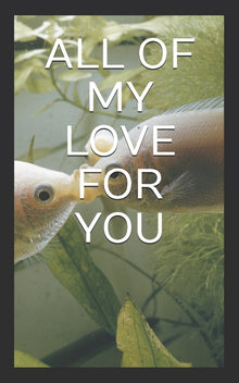 All of My Love for You