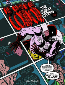 The Flight of The Condor, The Sunday Strips: Year one