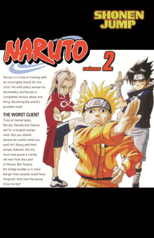 Naruto, Vol. 2: The Worst Client