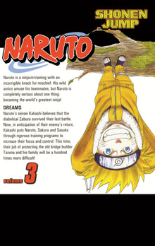 Naruto, Vol. 3: Dreams