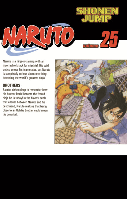 Naruto, Vol. 25: Brothers