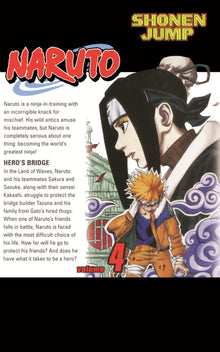 Naruto, Vol. 4: The Next Level