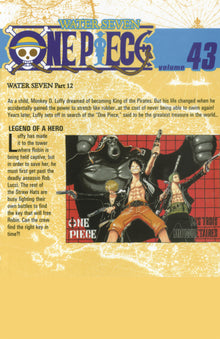 Legend of a Hero. (One Piece, Vol. 43)