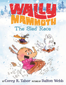 Sled Race